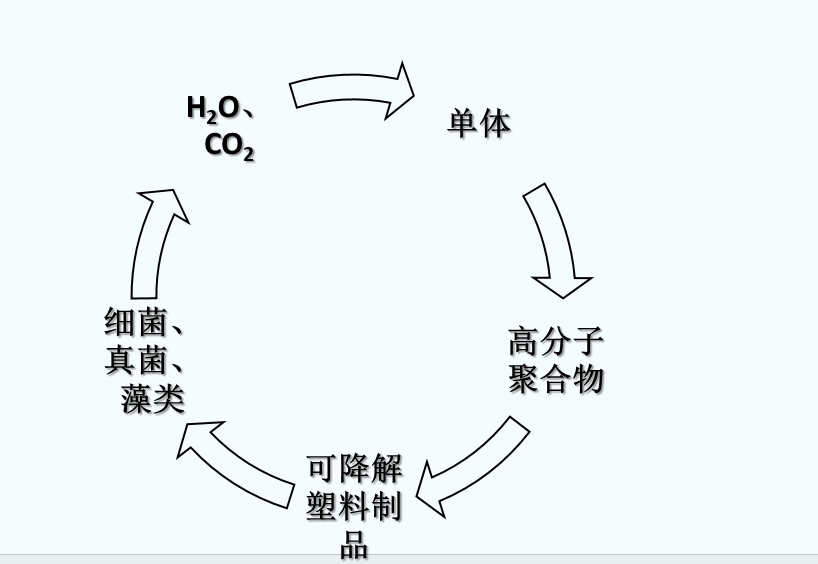 什么是可生物降解塑料？(圖1)