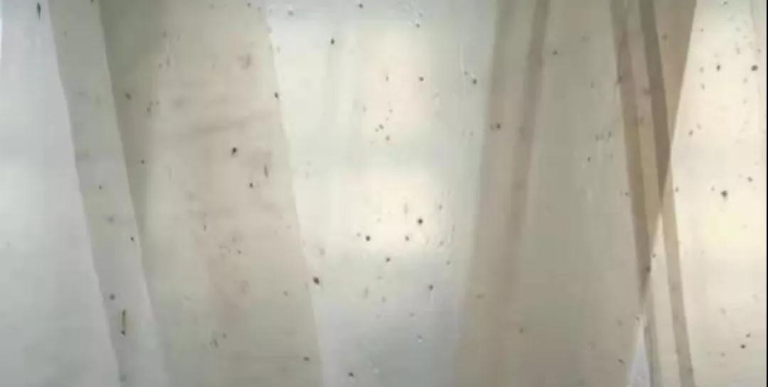 PBAT膜袋有黑點是什么原因？(圖1)