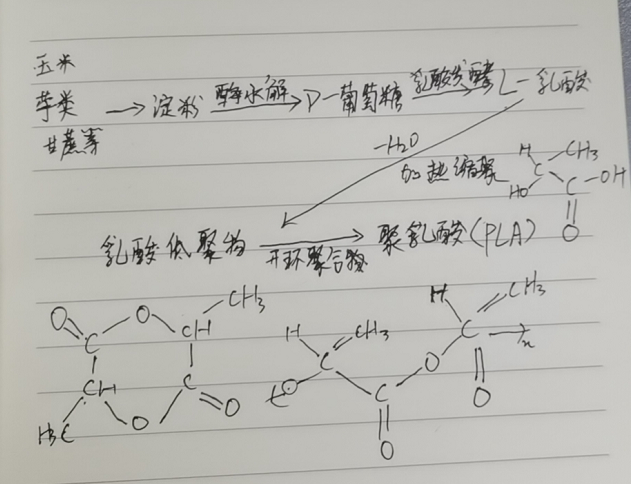 生物降解袋中的PLA是如何制得的？(圖2)
